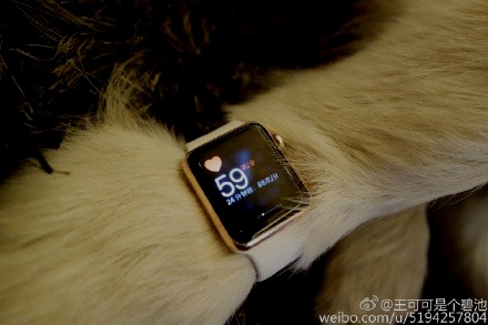 China Is Not Amused By This Apple Watch Edition-Wearing Dog
