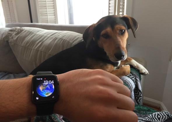 How My Apple Watch Brought Me a Serenity I Haven’t Had In Years