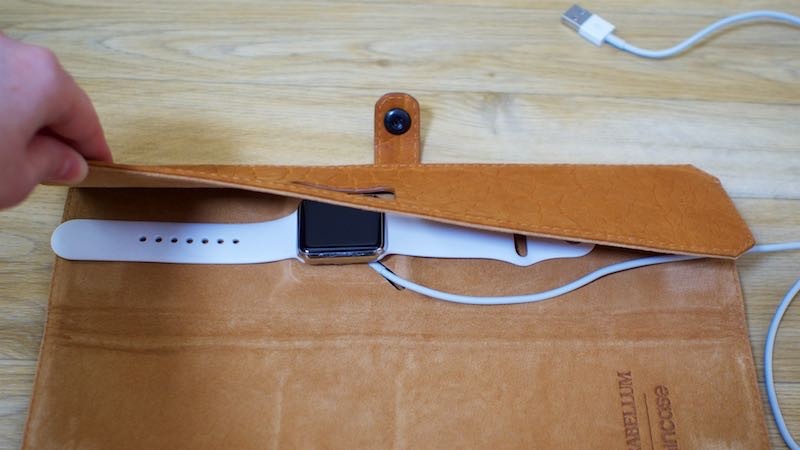 The Dumbest Apple Watch Accessory